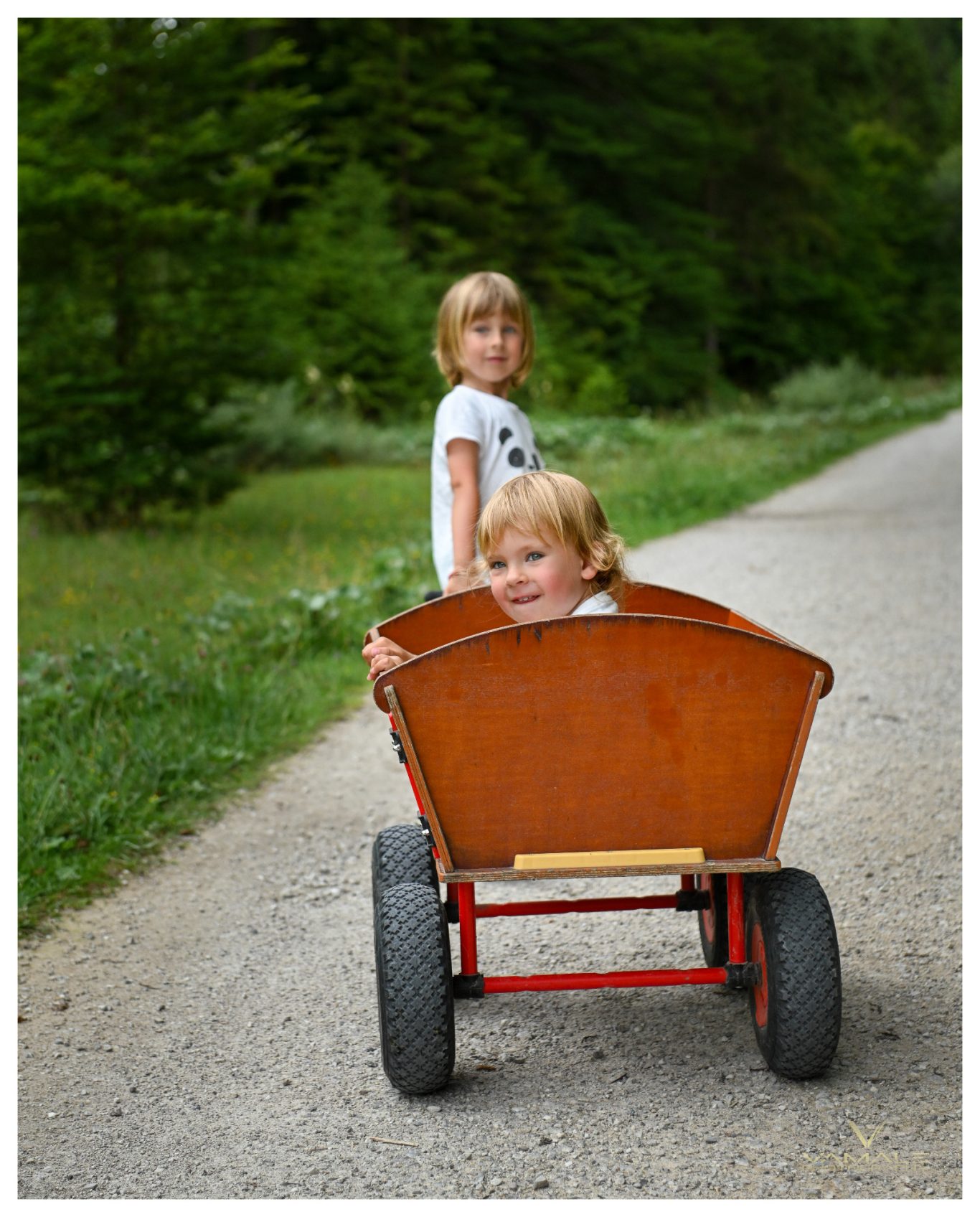 Två bröder leker i sagolik vagn i skogen Två bröder som leker i sagolik vagn i skogen under en kalasfest, varmt och lekfullt fångat. Foto - Vamale Photography