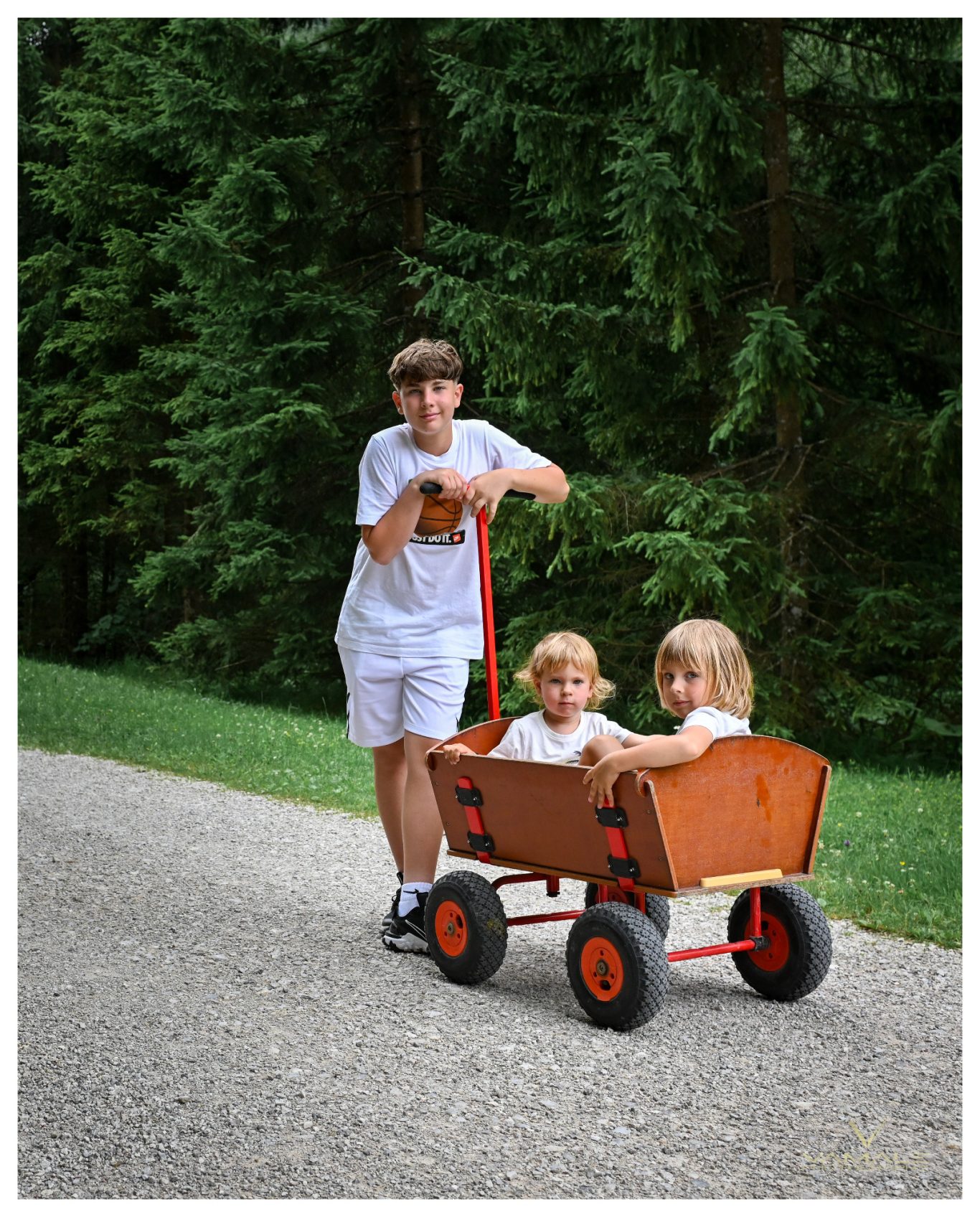 Tre bröder i sagolik vagn vid sjön Tre bröder i sagolik vagn vid sjö i skogen, professionellt fotograferade efter ett festligt kalas. Foto - Vamale Photography